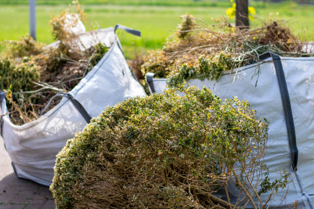 Best Local Junk Hauling  in Downers Grove, IL